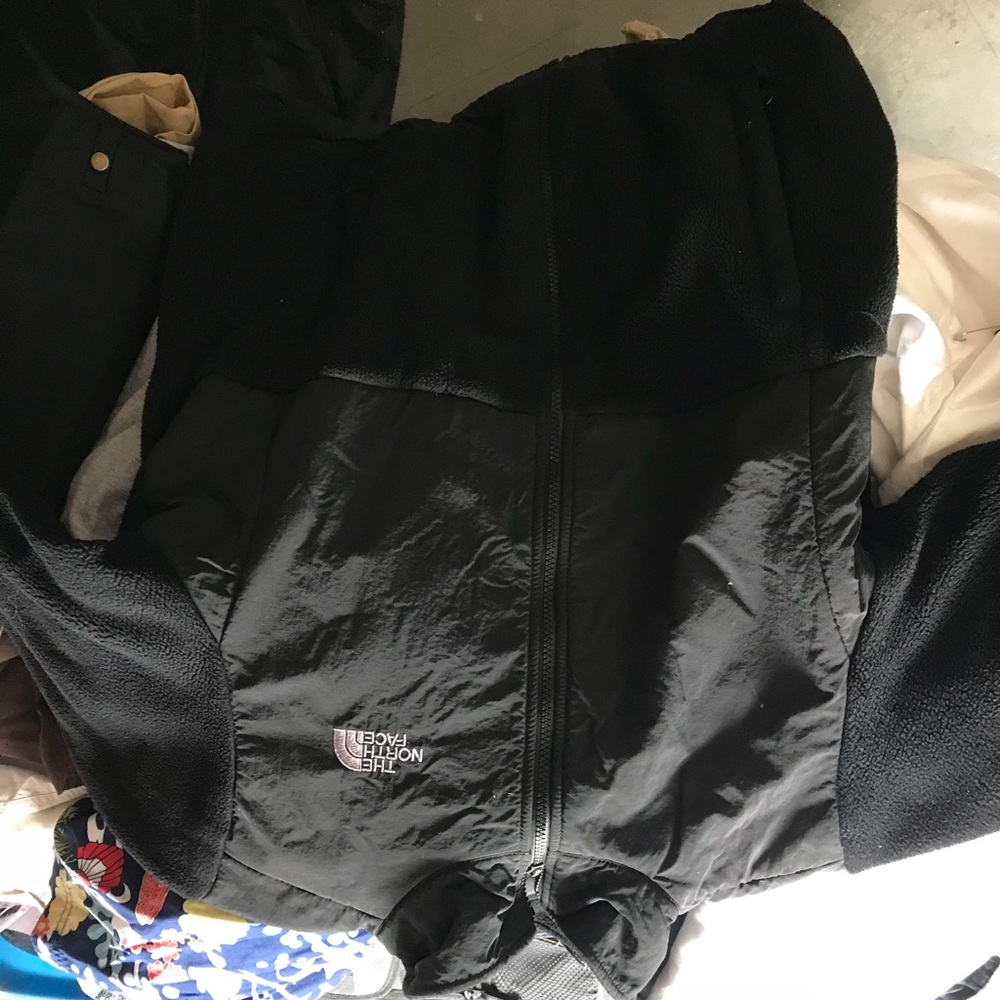 The north face jacket